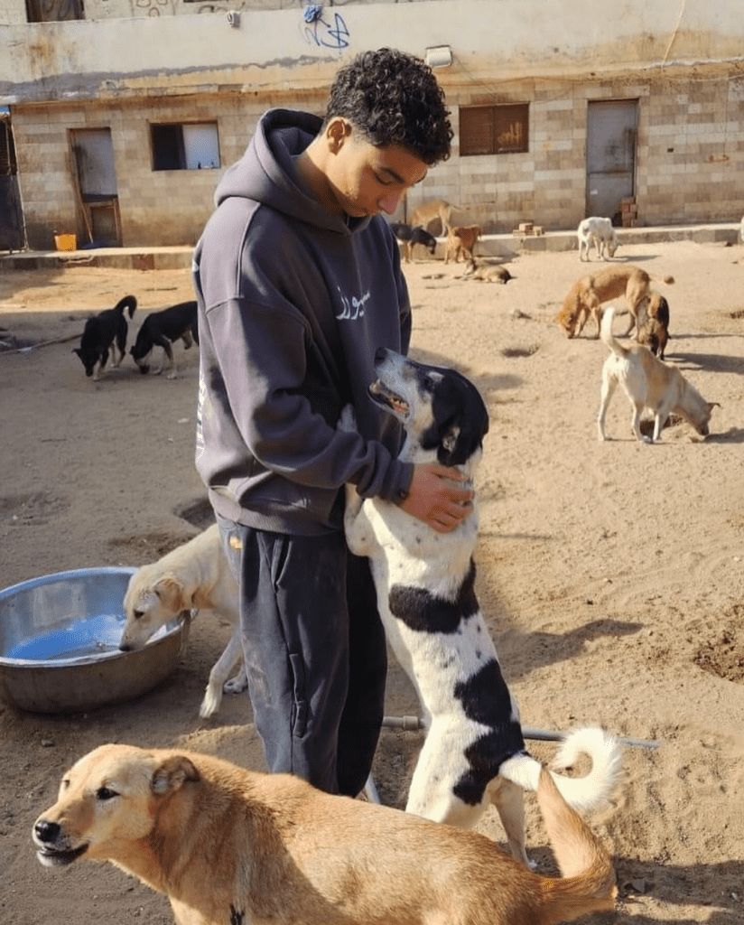 Dog rescue mission Dog rescue mission