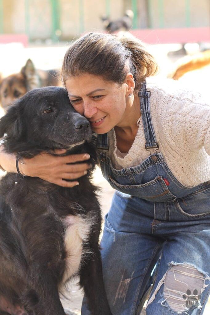 HomePage Dog Rescue 4 WhatsApp Image 2025 06 27 at 00.36.58 b4832765